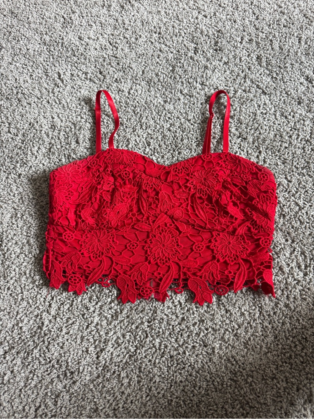 Charlotte Russe Red Floral Lace Cropped Cami
